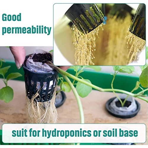 50PCS 1.75" Mesh Net Cup Pots Basket Hydroponics System Supplies Aquaponics Seed Growing Media Black - color: Black