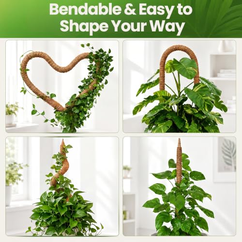 2 Pack 63'' Moss Pole Monstera Plant Support for Climbing Indoor Plants - size: 2-Pack (63 in)