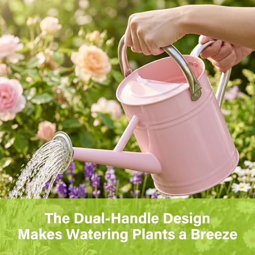 1 Gallon Watering Can for Outdoor&Indoor Plants，Pink - color: Pink