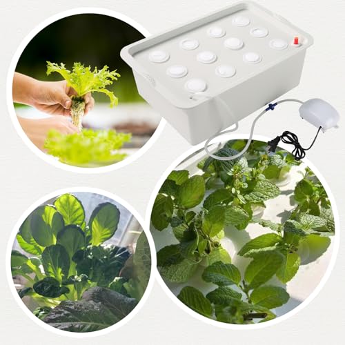 NATGAI Hydroponic System Growing Kit with Air Pump 12 Holes Soilless