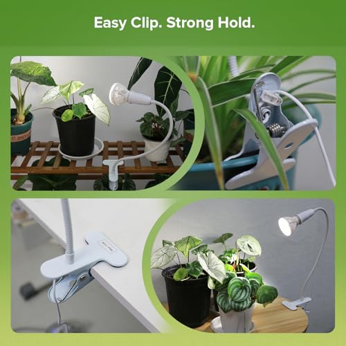 Clip on Grow Light for Indoor Plants, 10W LED Bulb, 150W Equivalent - size: 1 Head
