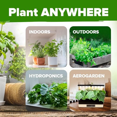 HOME GROWN 10 Herb Variety Pack 3000+ Seeds Extra Large Culinary Kit