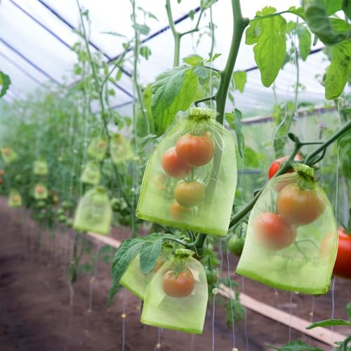 50 PCS 8X12 inches Fruit Protection Bags, Fruit Bags for Fruit Trees - size: 8X12