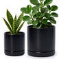 D'vine Dev 2-Pack Ceramic Pots with Saucers, Black, 4/6 in, 94-G-S-2 - color: Black, size: Small