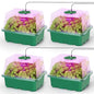MIXC 4 Pack Seed Starter Kit with Grow Light, Vented Humidity Dome, Green - color: Green, size: 12 Cells With Light-4 Packs