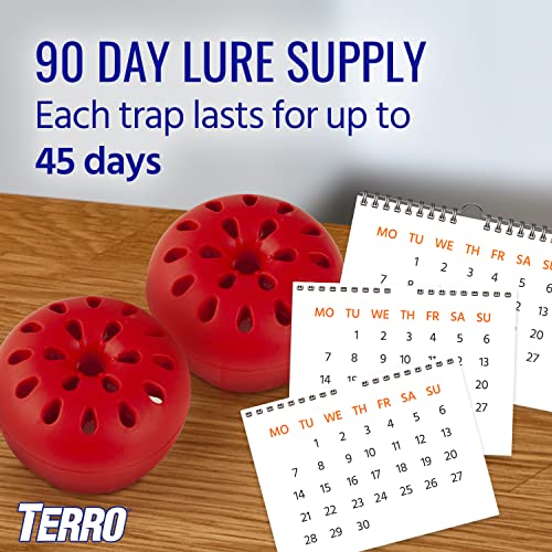 TERRO T2502 Ready-to-Use Indoor Fruit Fly Trap with Built in Window - 2 Traps + 90 day Lure Supply - size: 2 Traps