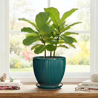 Ceramic Planter, 8 Inch Plant Pots with Saucer, Blackish Green - color: Blackish Green, size: 8 Inch