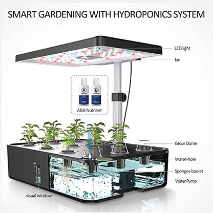 iDOO Growth Sponges 60 Pcs, Replacement Hydroponics Sponges Compatible with AeroGarden LYKO and All Indoor Hydroponics Growing System Indoor Garden (Except ID-IG201) Hydroponics Supplies