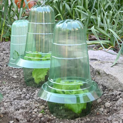 10 Pack Slug Collars for Plants - color: Green 10 PCS