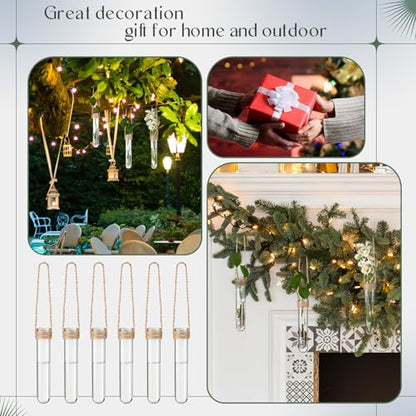 Baderke 6 Pack Plastic Hanging Propagation Station Tubes, Natural Color - color: Natural Color