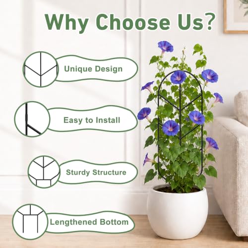 Plant Trellis for Potted Plants, Trellis for Climbing Plants - size: 32.6in/2P