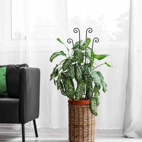 32.6in Plant Trellis for Climbing Plants Indoor, Expandable Large Metal Trellis for Potted Plants, Heavy-Duty Tall Pothos Plant Climber Support for Ivy Pothos Hoya Monstera, 4P - size: 32in, 4p