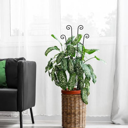 32.6in Plant Trellis for Climbing Plants Indoor, Expandable Large Metal Trellis for Potted Plants, Heavy-Duty Tall Pothos Plant Climber Support for Ivy Pothos Hoya Monstera, 4P - size: 32in, 4p