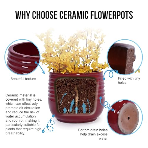 Ceramic Plant Pots with Drainage Hole, 8/11/15 Inch, Red