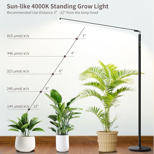 STERREN Plant Floor Lamp for Indoor Plants, Full Spectrum Grow Light - color: Black