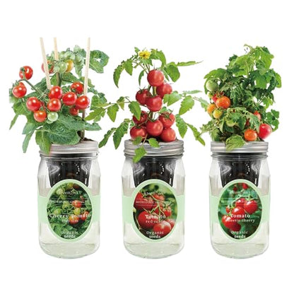 Hydroponic Mason Jar Indoor Garden Organic Seed Starter Kits - Tomato Trio Garden Growing Kits, Gardening Gift (Red Robin Tomato, Cherry Tomato - Tiny Tim, Sweetie Cherry Tomato) - color: Tomato Trio Garden Kits