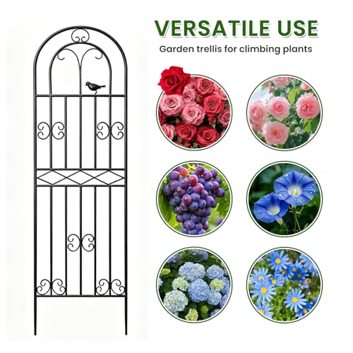 2 Pack 59"x19.7" Metal Gardon Trellis for Climbing Plants Flowers Outdoor, - size: 2P: 59" H x 19.7" W