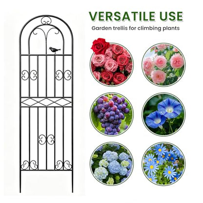 2 Pack 70.8"x19.7" Metal Gardon Trellis for Climbing Plants Outdoor, - size: 2P: 70.8" H x 19.7" W