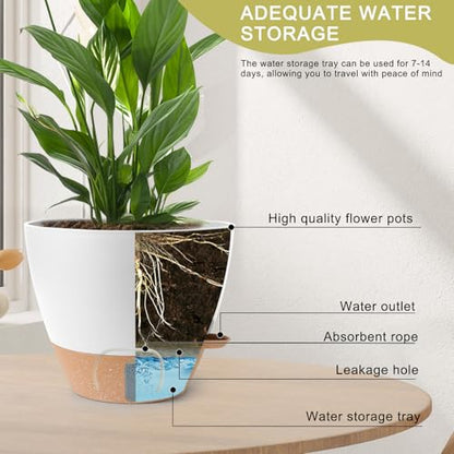 Self Watering Pots for Indoor Plants 12/10/9/8 Inch Plastic with Reservoir - color: White