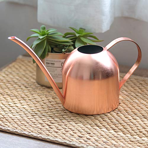 Watering Can for Indoor Plants, 30oz Long Spout Stainless Steel - size: Rose Gold 30 oz
