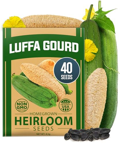 HOME GROWN Luffa Loofah Gourd Seeds, 40 Seeds, Luffa aegyptiaca