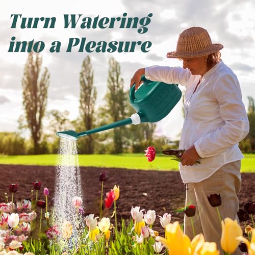 1 Gallon Watering Can, Outdoor Watering Can, Long Spout Water Can - color: Alpine Green, size: 1 Gallon