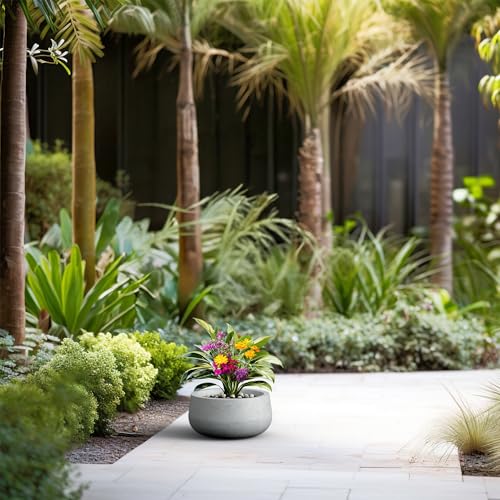 Kante Small Round Bowl Pale Gray Concrete Planter 11.8" Dia, Outdoor - color: Natural Concrete, size: 11.8"w