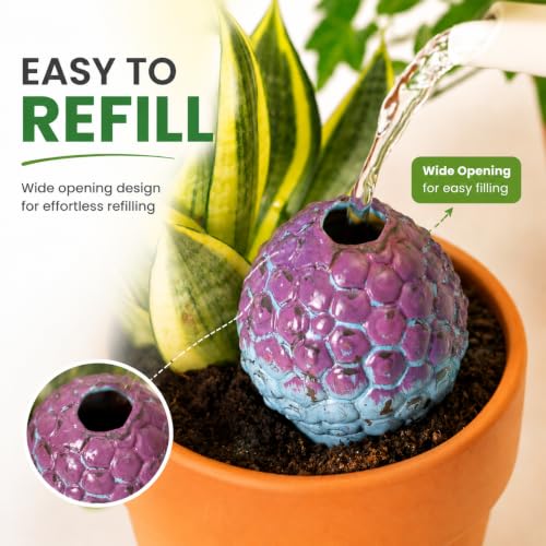 SURE YUESI 4PCS Self Watering Globes, Automatic Terracotta Watering Bulbs - Watering Spikes, Vacation Plant Watering Devices System, Plant Watering Globes for Indoor and Outdoor Plants - Cactus - color: Cactus