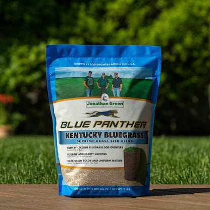 Jonathan Green Blue Panther Kentucky Bluegrass Grass Seed - 25 lb - size: 25 lb