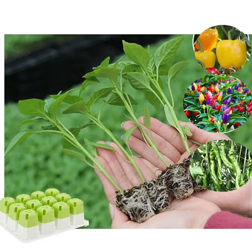 5pcs Seed Starter Tray,60 Cells Silicone Seeding Starter with Pop-Out Cells - size: 5PCS Green