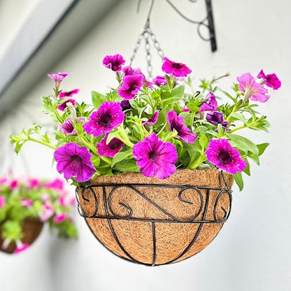 LaLaGreen Patio Hanging Planter (18 in, 2 Pack) Black Metal Wire Baskets - size: 18" x 2 Pack