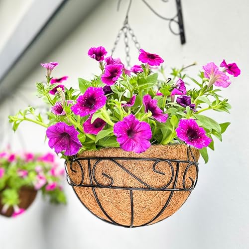 LaLaGreen Metal Hanging Planter (20 in, 4 Pack) Black Wire Basket Planters - size: 20" x 4 Pack