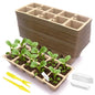 240 Cells Seed Starter Tray, Plant Starter Kit for Seedlings