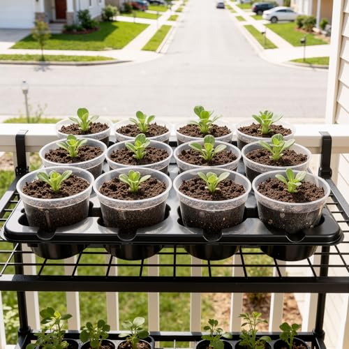homenote 5 Pack Reusable 12 Cell Seed Starter Trays for 4 Inch Nursery Pots - size: 4 Inch, style: 5 Pack Seed Starter Tray
