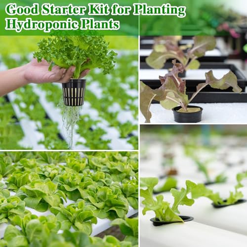 Halatool 72PCS 1.2" Rockwool Cubes & 56PCS 2" Net Cups for Hydroponics - size: 1.2" rockwool-72pcs+2" net cups-56pcs