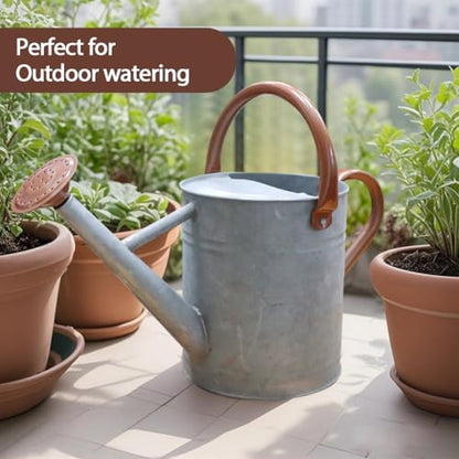 Metal Watering Can 1 Gallon for Outdoor Garden Plants, Zinc - color: Zinc