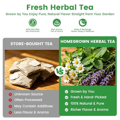35 Herb Seeds Variety Pack, 16,400+ Non-GMO Heirloom Seeds for Planting