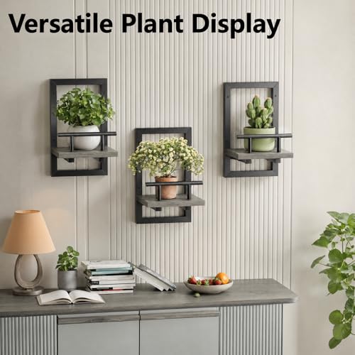 Sbosbo Floating Shelves for Wall Plant Shelf Indoor Wall Mounted Shelves - color: Grey