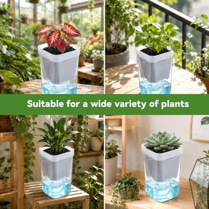 20 Pack 2.5 Inch Small Self Watering Pots for Indoor Plants - size: 2.5in