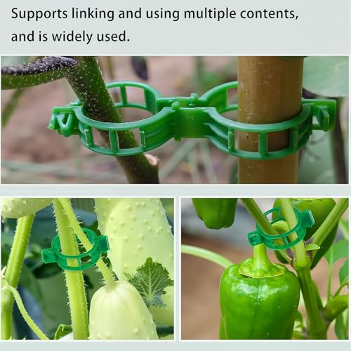 300-Piece Tomato Clips for Climbing Plants, Reusable Trellis Support Set