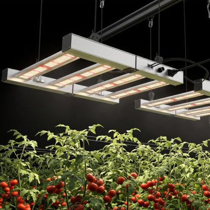 200W LED Grow Lights for Indoor Plants,Full Spectrum,2x2ft Coverage - size: 18.1 inch(200W)