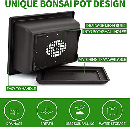 Meekear 5 Bonsai Tree Kit Complete Plant Growing Tools, Grow in Pot Indoor Bonsai Tree Starter Kit, Great Home Gardening Potted Plants DIY Gift for Adults