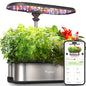 LETPOT LPH-SE Hydroponics Growing System, 12 Pods Smart Herb Garden Kit Indoor, Indoor Garden, APP & WiFi Controlled, with 24W Growing LED, 5.5L Water Tank, Pump System, Automatic Timer - size: 12 Pods