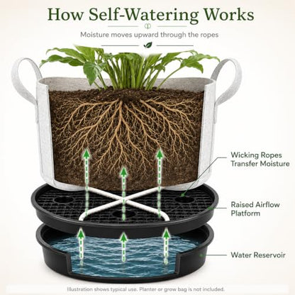 Self Watering Plant Saucers 4 Pack, 13.6 Inch Plastic Plant Saucers with Raised Grid Platforms and 8 Wicking Ropes, for Plant Pots, Fabric Grow Bags, Indoor and Patio Planters, Black