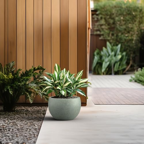 Kante Large Round Bowl Mint Green Concrete Planter 19.9" Dia, Outdoor - color: Mint Green, size: 19.9" d