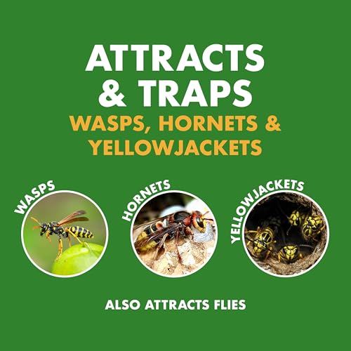 Spectracide Wasp, Hornet & Yellowjacket Trap Refill, 1 Count - size: Trap Refill (Pack of 1)