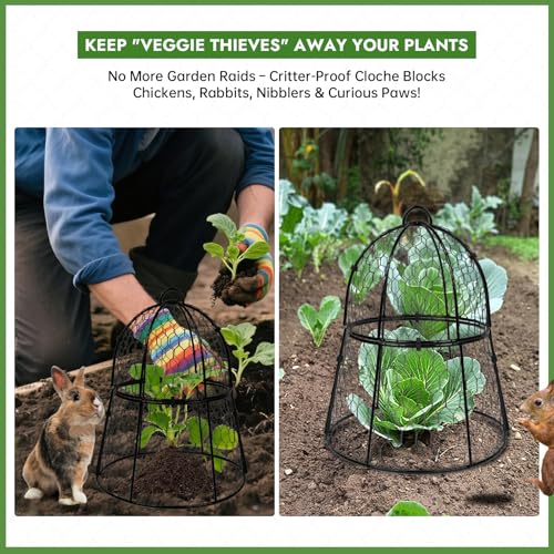 Decoroca 4 PCS Garden Cloches for Plants - Chicken Wire Plant Protectors - size: 4pcs-13.4x13in