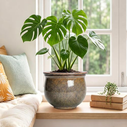 Ceramic Self Watering Pots, 8 Inch Ceramic Planter, Yellowish Brown - color: Yellowish Brown, size: 8 Inch