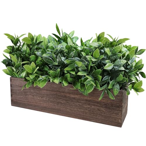 Winlyn 14" Artificial Boxwood Plants in Rectangular Wood Planter Farmhouse Greenery Arrangement Centerpiece Faux Potted Herb Plant for Wedding Dining Room Table Kitchen Windowsill Mantel Shelf Décor