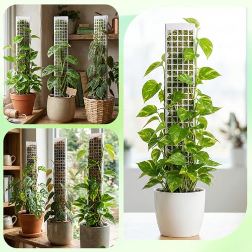 6 Pcs 24 Inch Plastic Moss Pole for Plants Monstera, D Shaped Moss Pole, Plant Poles for Climbing Plants, Plant Support for Indoor Plant Work with Sphagnum